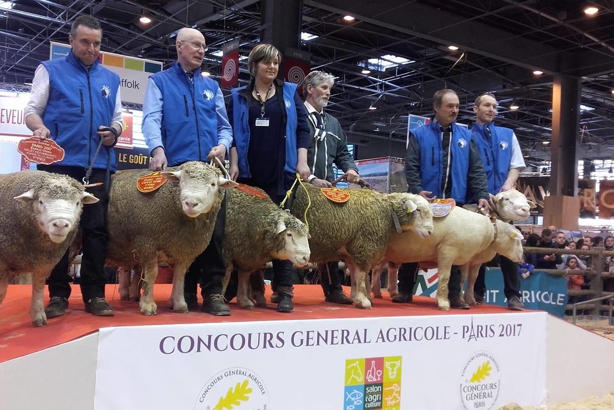 Concours mouton Ile de France